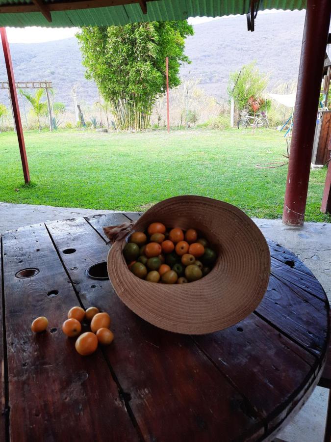 La Cabana De Blanca Jalpan Εξωτερικό φωτογραφία